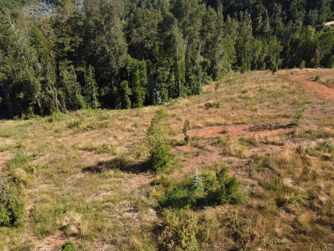Parcela en Exclusivo Loteo Alto Río - Imagen 5