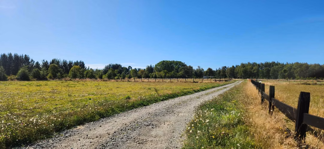 Terreno Ruta 5, Frutillar Alto, Frutillar, Los Lagos