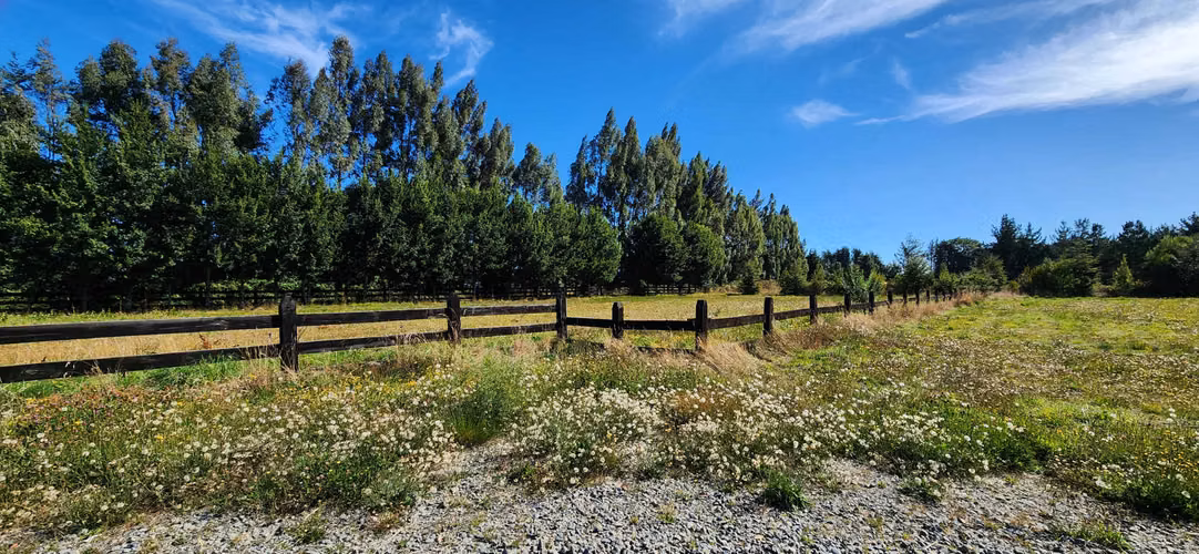 Terreno Ruta 5, Frutillar Alto, Frutillar, Los Lagos