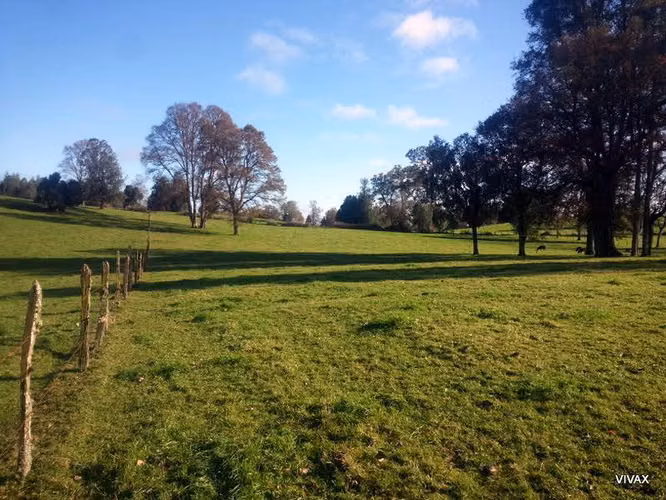 Terreno Frutillar, Los Lagos