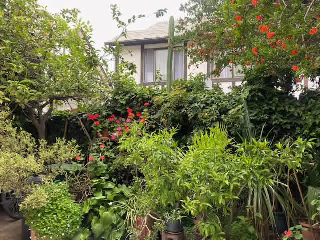 Casa Rosita Renard 1200, casa e, Ñuñoa