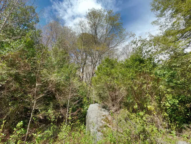 Vende Predio San Fabian, Naturaleza Plena (78894)