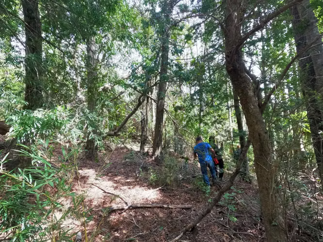 Vende Predio San Fabian, Naturaleza Plena (78894)