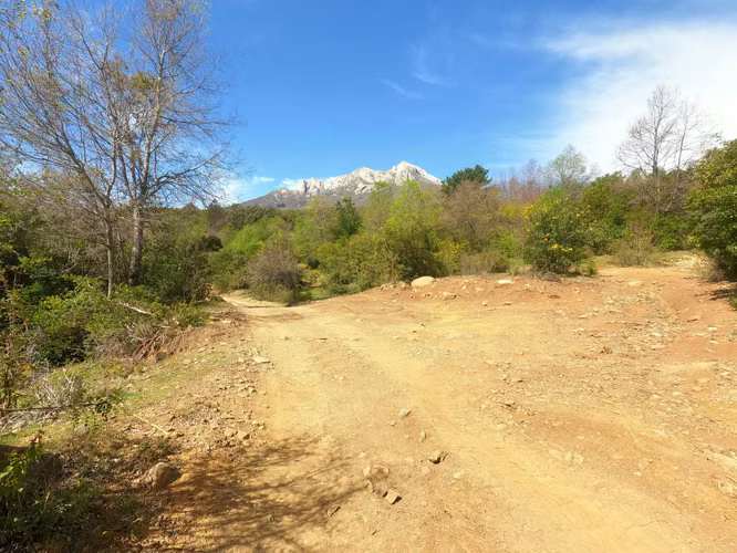 Vende Predio San Fabian, Naturaleza Plena (78894)