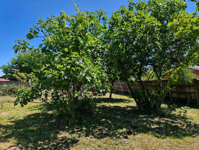 VENTA AMPLIO TERRENO CON PROYECCION  INMOBILI (78990)