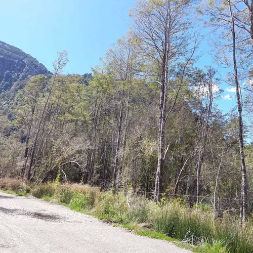 Venta de Parcela en Puerto Piedra - Aysén (79529)