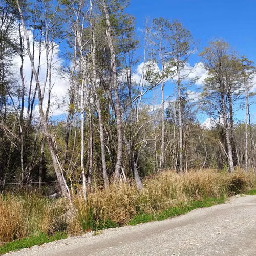 Venta de Parcela en Puerto Piedra - Aysén (79529)