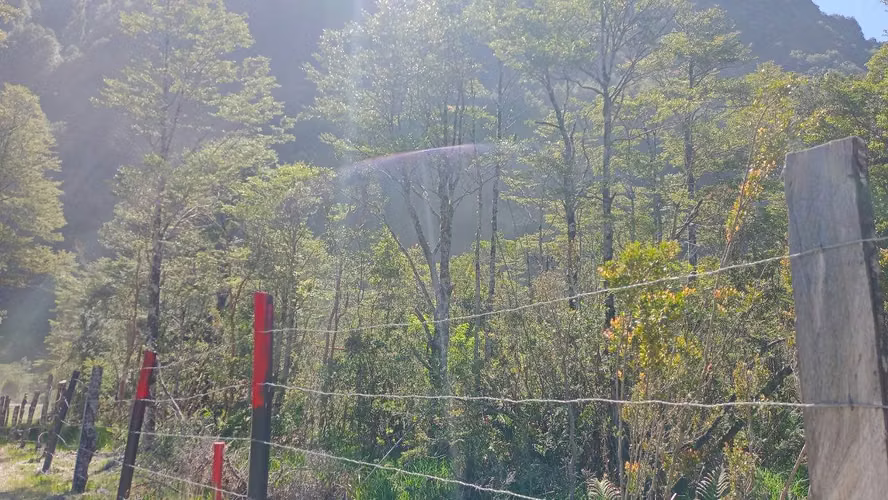 Venta de Parcela Sector Bahía Acantilada (80334)