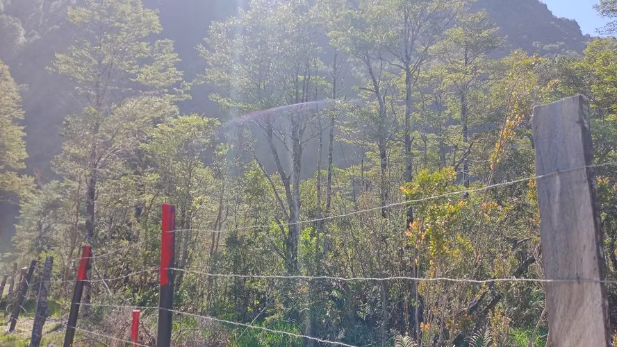 Venta de Parcela Sector Bahía Acantilada (80334)