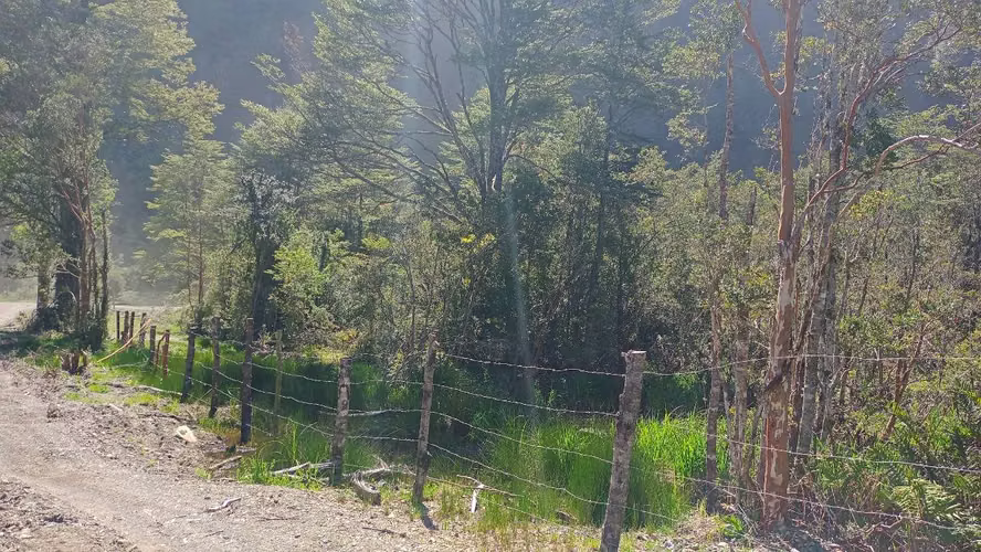 Venta de Parcela Sector Bahía Acantilada (80334)