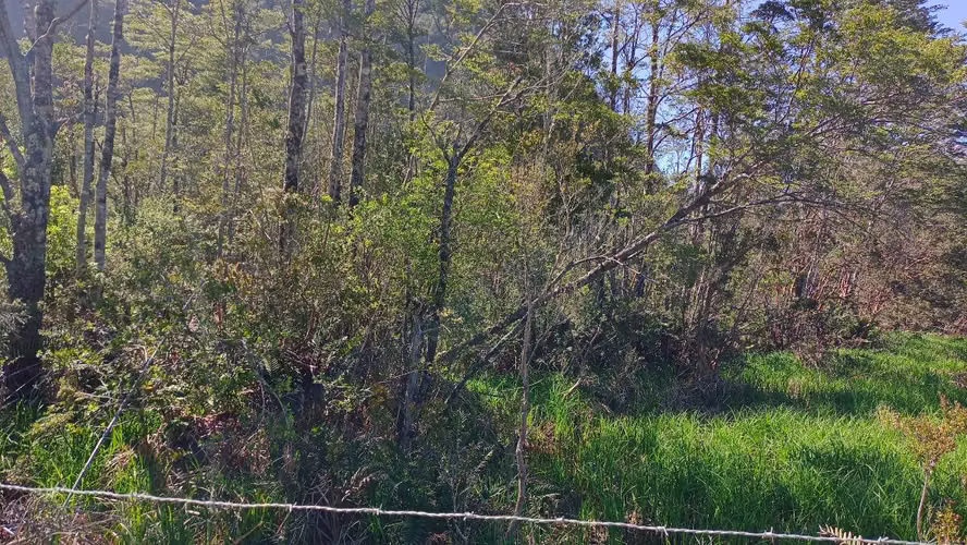 Venta de Parcela Sector Bahía Acantilada (80334)