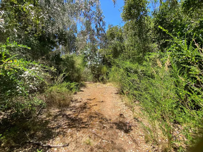 Curanipe / Cerros Pelados / 2 terrenos (80337)