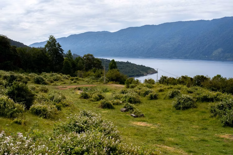 Loteo Lago Riñihue