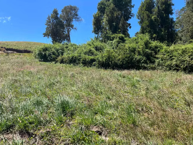 Parcela Lomas del Mirador (80625)