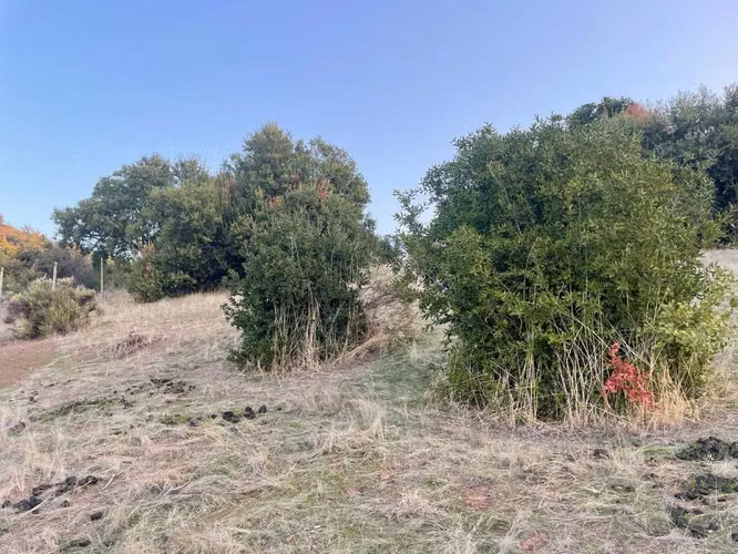 OPORTUNIDAD TERRENO SANTA CRUZ (81355)