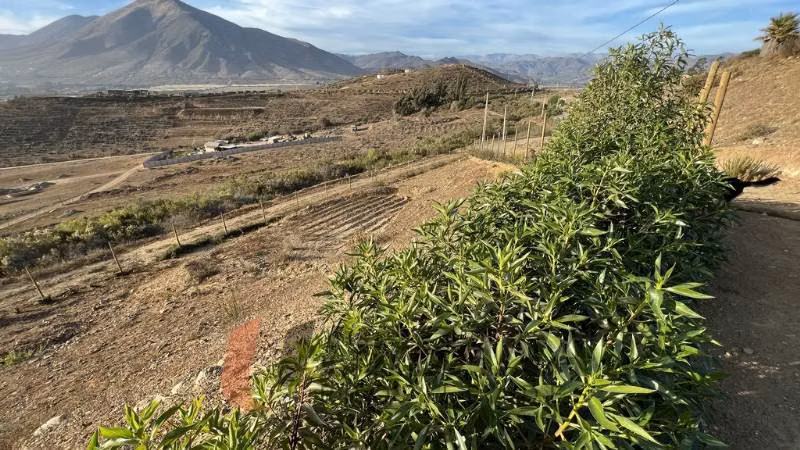 Parcela PARCELA EN LOTEO LOMAS DEL HINOJAL