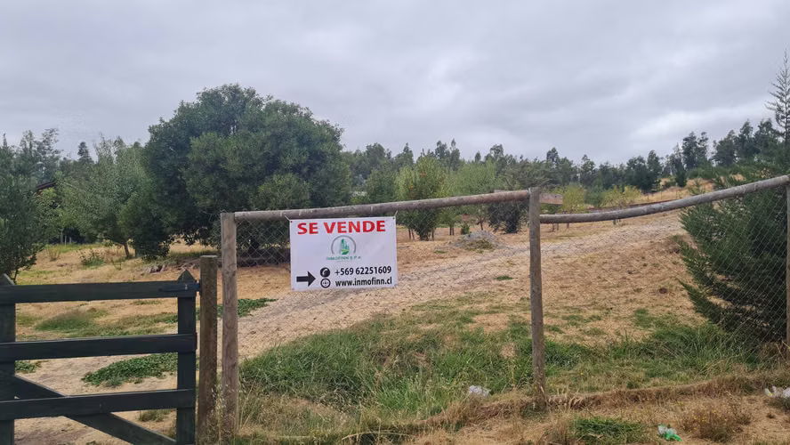 Parcela oportunidad familiar  (81495)