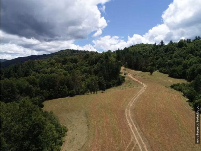 VENDE 23,6 HÁ. CAMPO A 29 KM DE NACIMIENTO