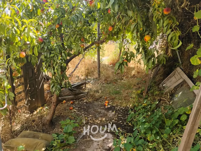 Casa en Manuel Rodríguez - Imagen 12