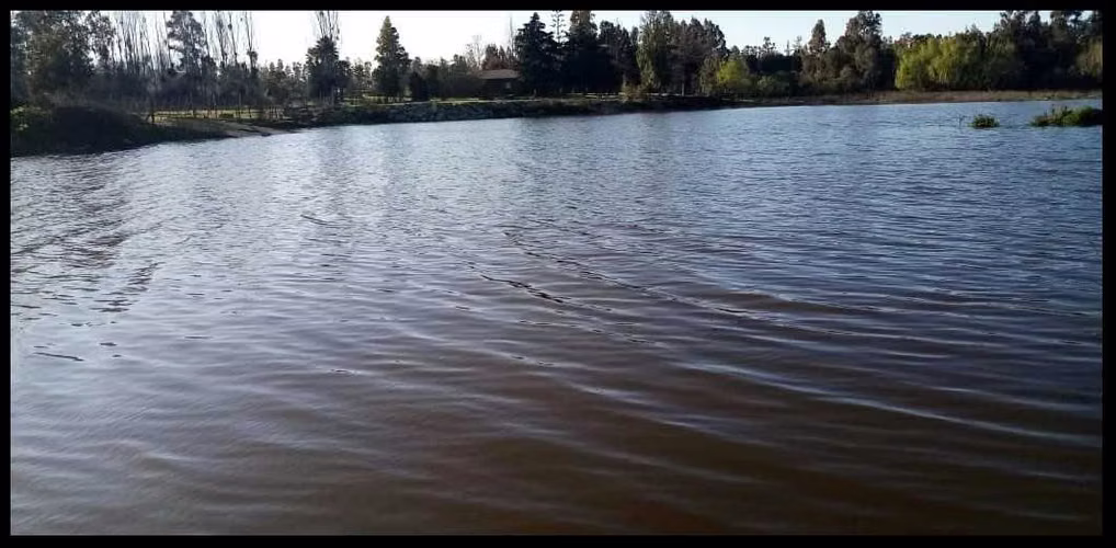 Parcela 15.000 m2 en Llallauquen lago Rapel (82077)