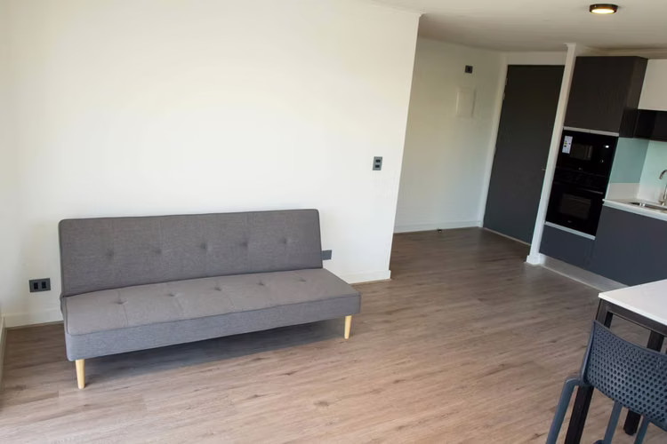 Arrienda departamento 3D+2B en Ricardo Lyon (Providencia)