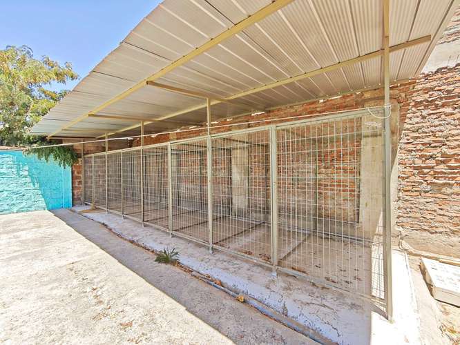 HOTEL CANINO, VETERINARIA VENTA DERECHO LLAVE (83396) - Imagen 26