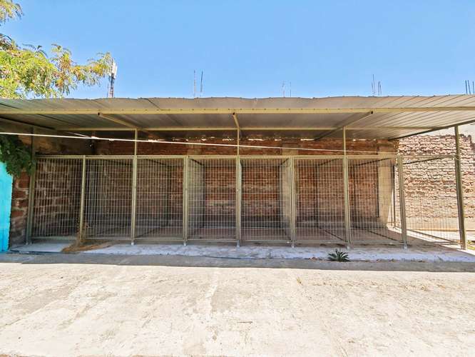 HOTEL CANINO, VETERINARIA VENTA DERECHO LLAVE (83396) - Imagen 23