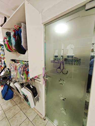 HOTEL CANINO, VETERINARIA VENTA DERECHO LLAVE (83396) - Imagen 14