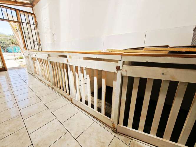 HOTEL CANINO, VETERINARIA VENTA DERECHO LLAVE (83396) - Imagen 12