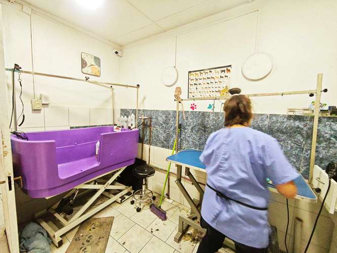 HOTEL CANINO, VETERINARIA VENTA DERECHO LLAVE (83396) - Imagen 25