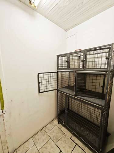 HOTEL CANINO, VETERINARIA VENTA DERECHO LLAVE (83396) - Imagen 20
