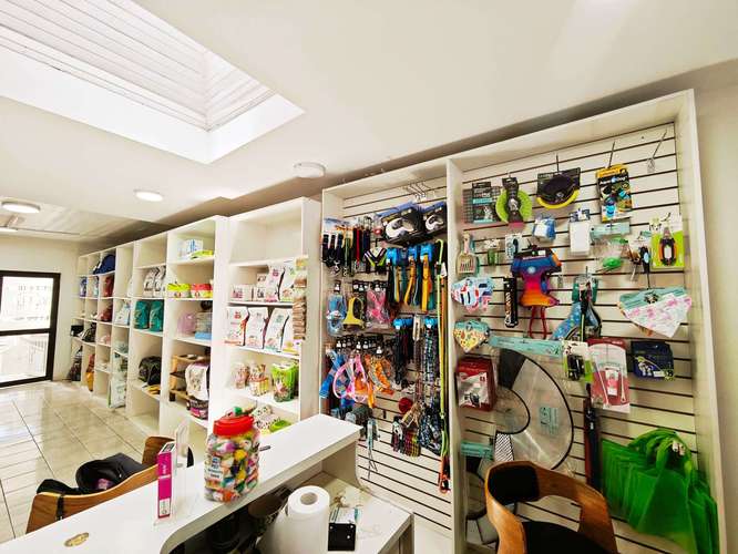 HOTEL CANINO, VETERINARIA VENTA DERECHO LLAVE (83396) - Imagen 4