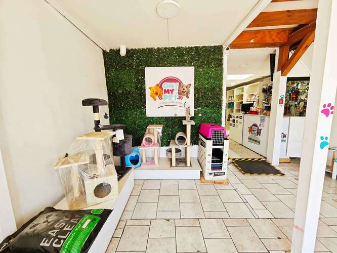 HOTEL CANINO, VETERINARIA VENTA DERECHO LLAVE (83396) - Imagen 6