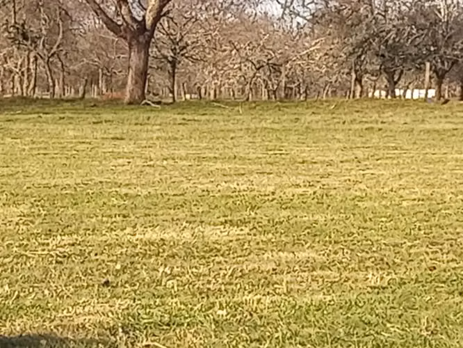 Se vende parcela en sector Linguento, entrada norte de Valdivia