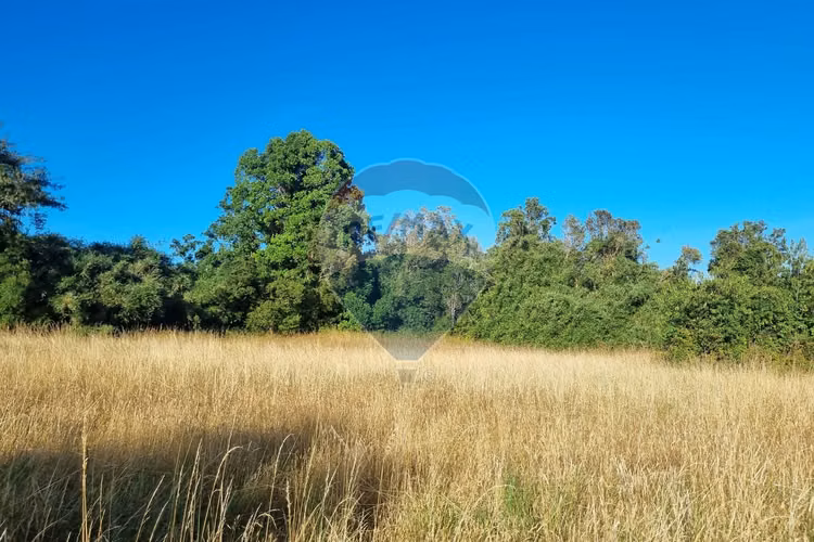 Venta de excelentes parcelas con vista al lago - Imagen 5
