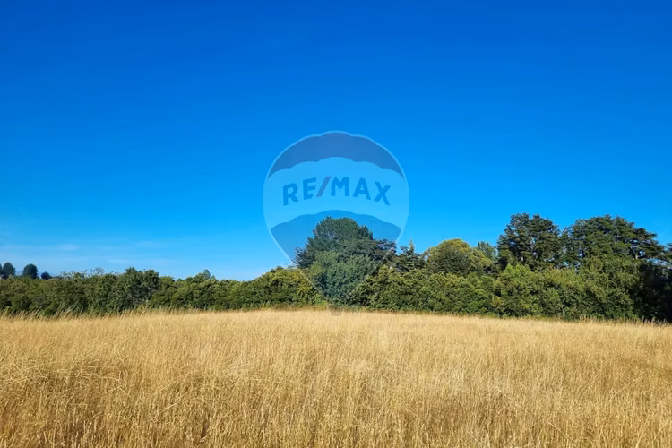 Venta de excelentes parcelas con vista al lago - Imagen 7
