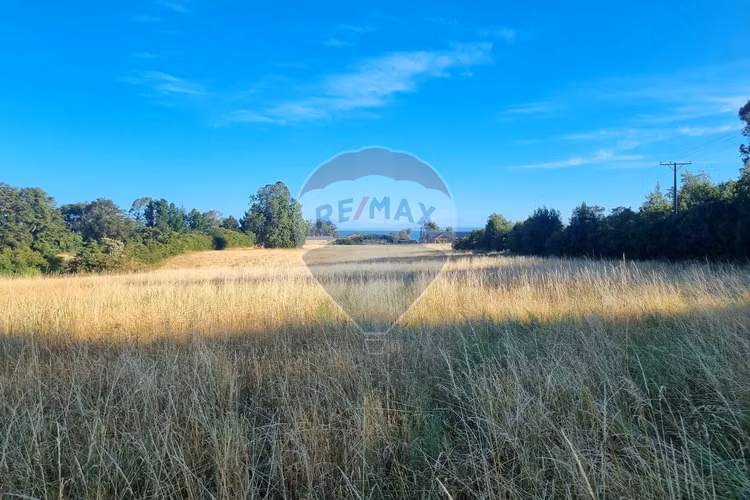 Venta de excelentes parcelas con vista al lago - Imagen 6