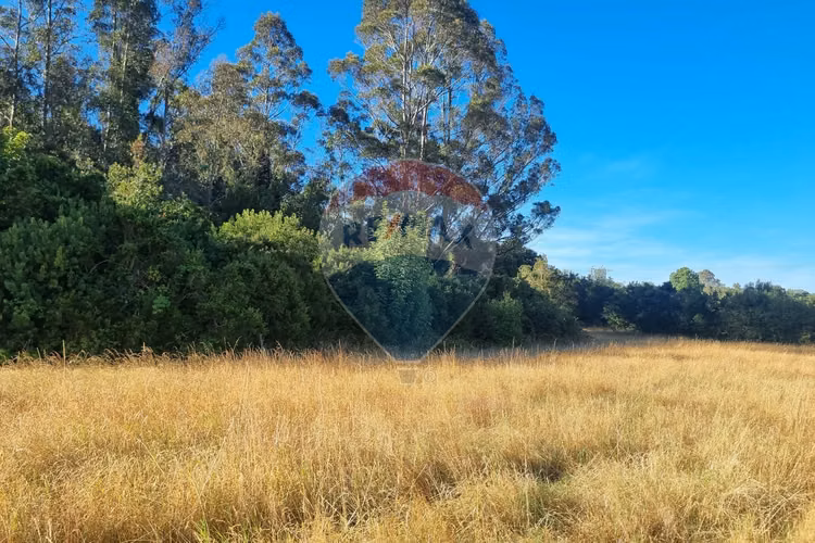 Venta de excelentes parcelas con vista al lago - Imagen 8