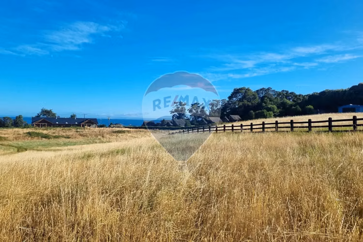 Venta de excelentes parcelas con vista al lago - Imagen 10