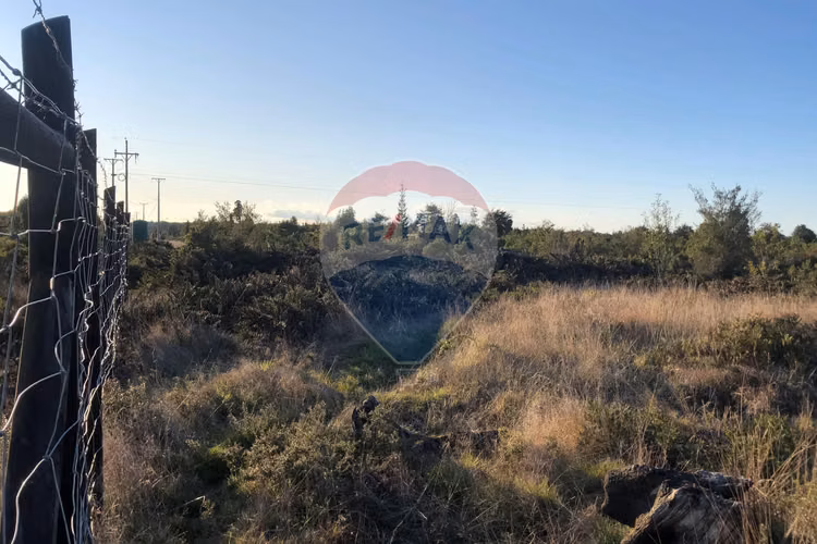 Se vende parcela 5.000 m2/colonia 3 puentes - Imagen 13