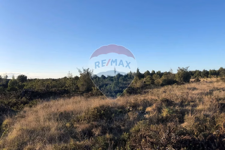 Se vende parcela 5.000 m2/colonia 3 puentes - Imagen 12