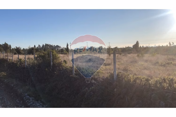 Se vende parcela 5.000 m2/colonia 3 puentes - Imagen 20