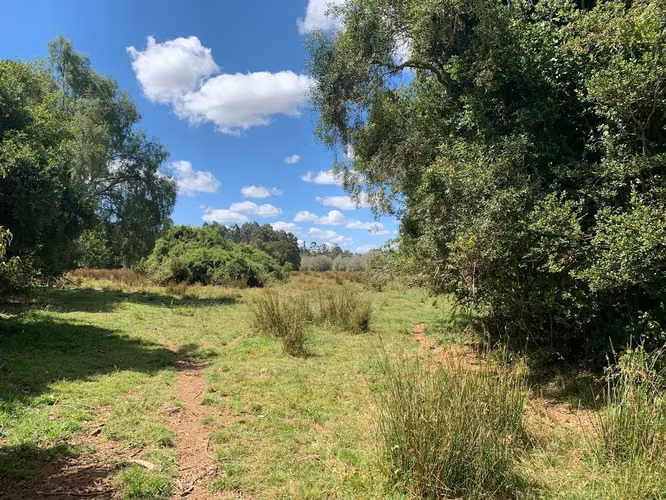 OPORTUNIDAD!! VENTA DE CAMPO 16,58 HA, PRECIO REBAJADO - Imagen 9