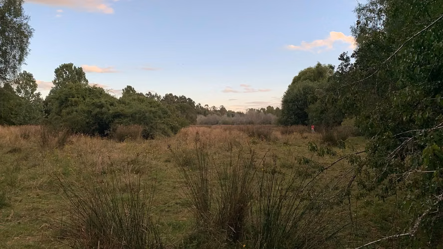 OPORTUNIDAD!! VENTA DE CAMPO 16,58 HA, PRECIO REBAJADO - Imagen 7