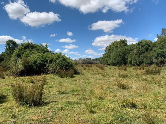 OPORTUNIDAD!! VENTA DE CAMPO 16,58 HA, PRECIO REBAJADO - Imagen 4