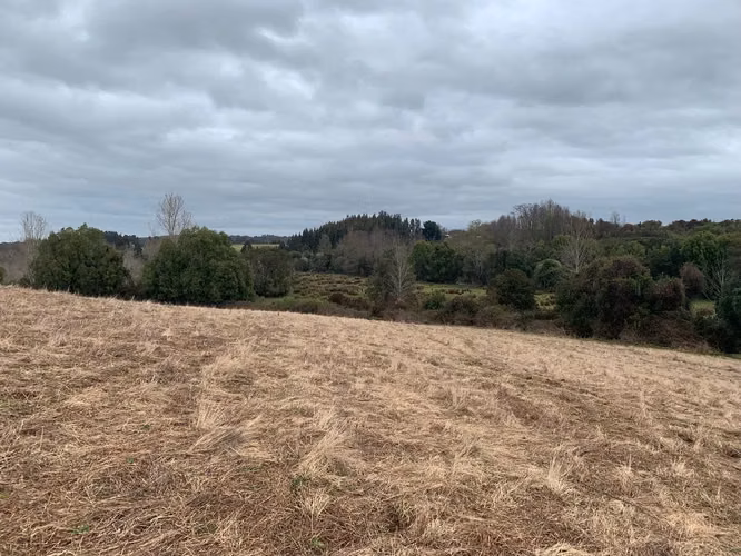 OPORTUNIDAD!! VENTA DE CAMPO 16,58 HA, PRECIO REBAJADO - Imagen 16