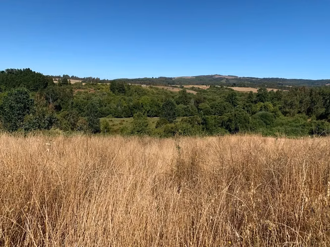 OPORTUNIDAD!! VENTA DE CAMPO 16,58 HA, PRECIO REBAJADO - Imagen 12