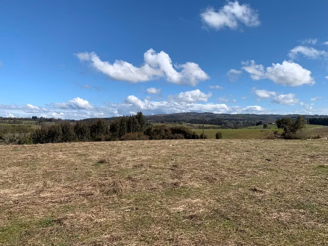 OPORTUNIDAD!! VENTA DE CAMPO 16,58 HA, PRECIO REBAJADO - Imagen 18