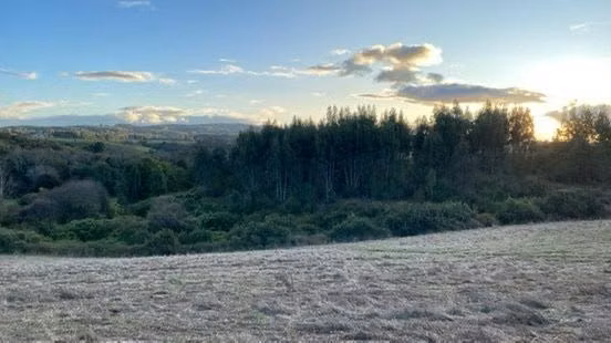 OPORTUNIDAD!! VENTA DE CAMPO 16,58 HA, PRECIO REBAJADO - Imagen 14