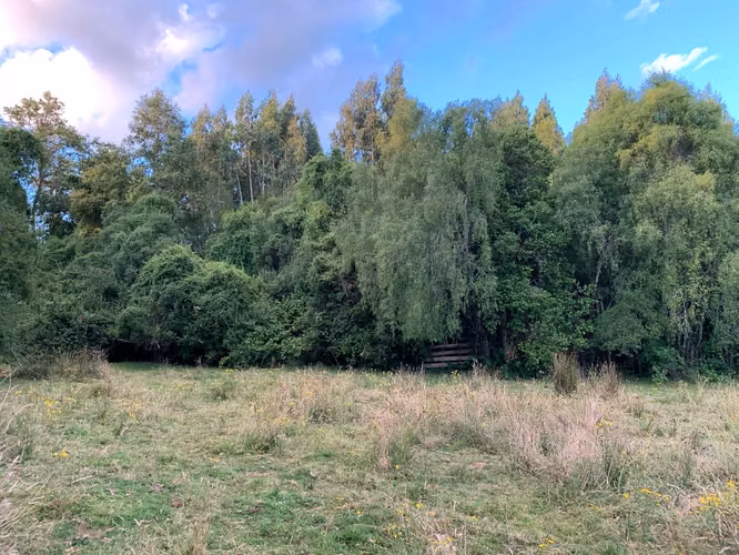 OPORTUNIDAD!! VENTA DE CAMPO 16,58 HA, PRECIO REBAJADO - Imagen 6